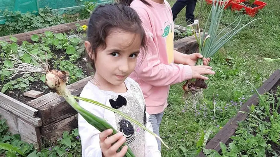 Community garden helps residents through lockdown